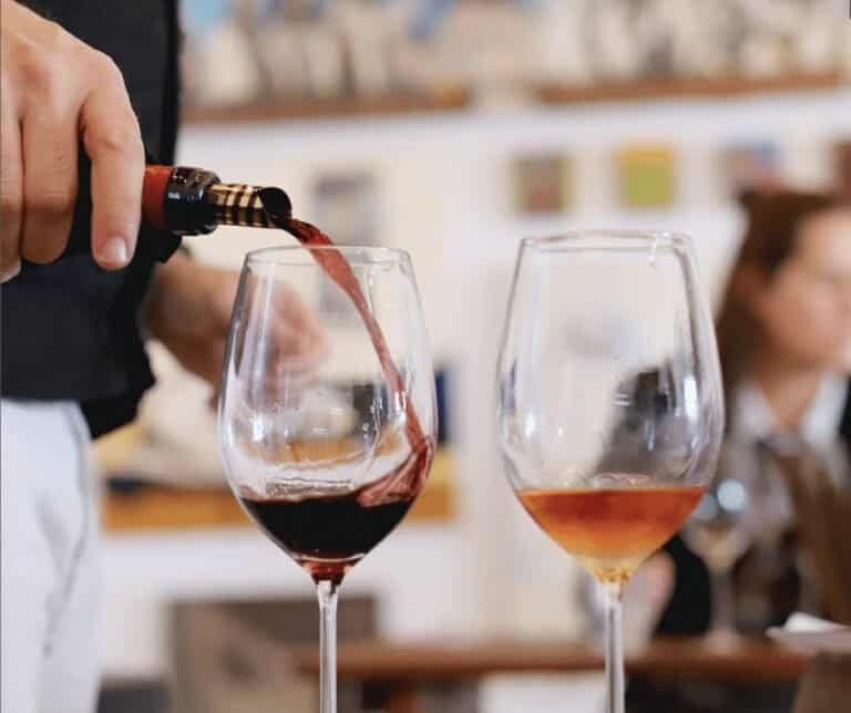 Wine Tasting Introduction