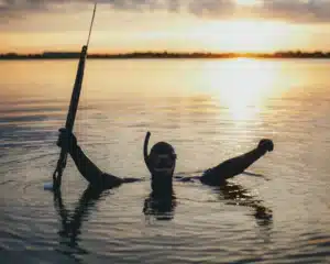 Introduction to Spearfishing Workshop