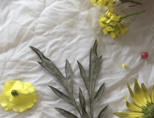 Botanical Printing workshop