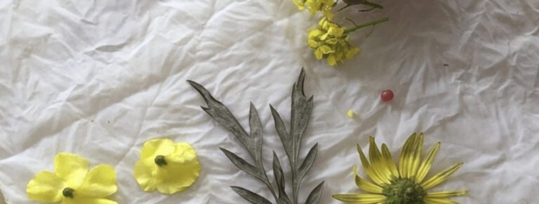 Botanical Printing workshop