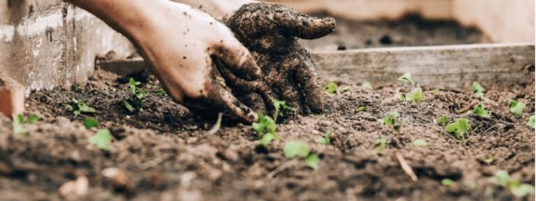 Biological Gardening