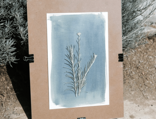 Cyanotype Workshop