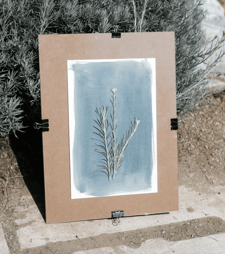 Cyanotype Workshop