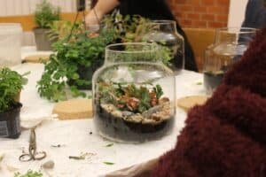 Create your terrarium