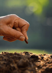 Seeds and Nursery Mastery