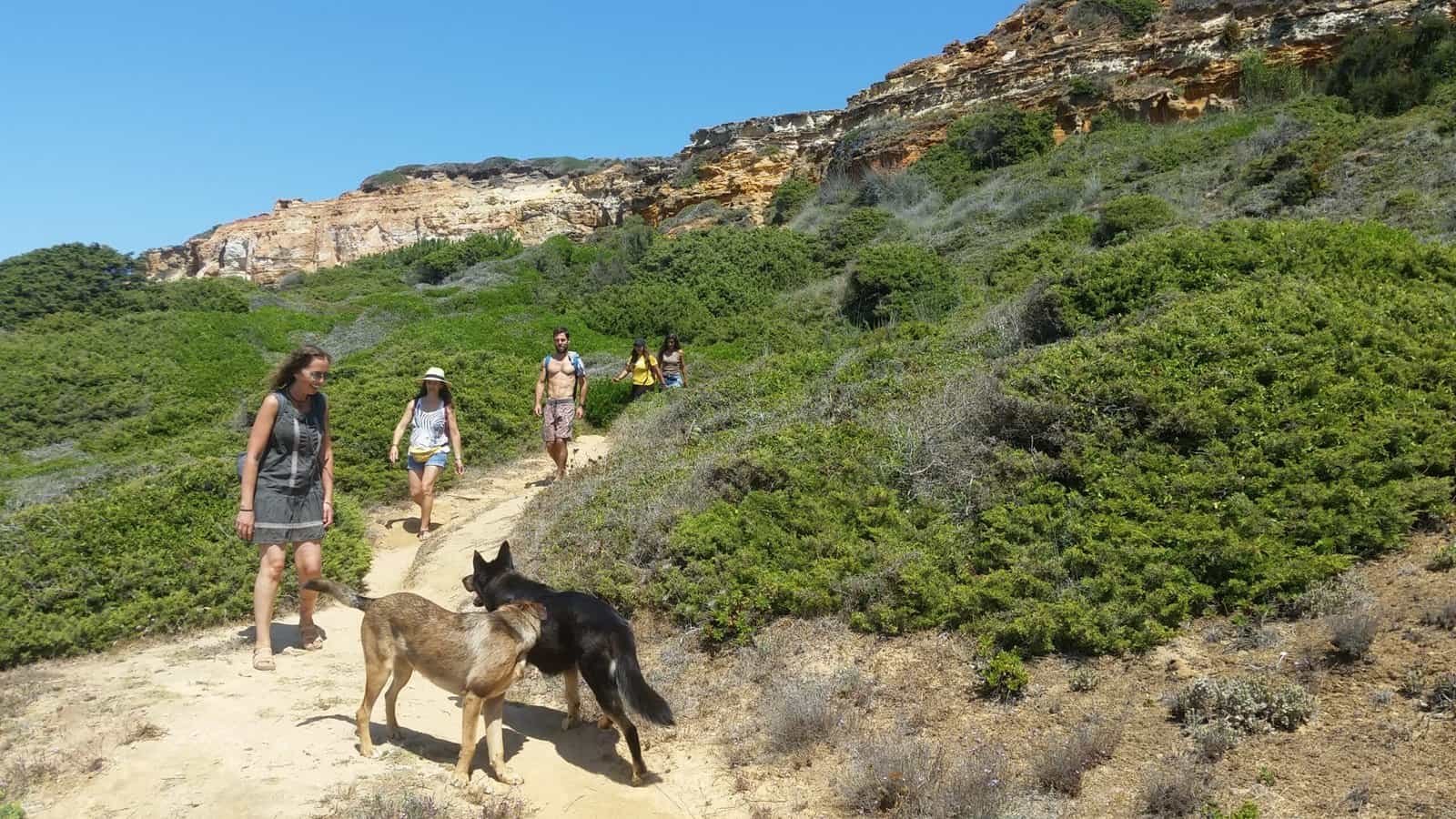 Caminhada na Praia Selvagem e Workshop de Piquenique Local