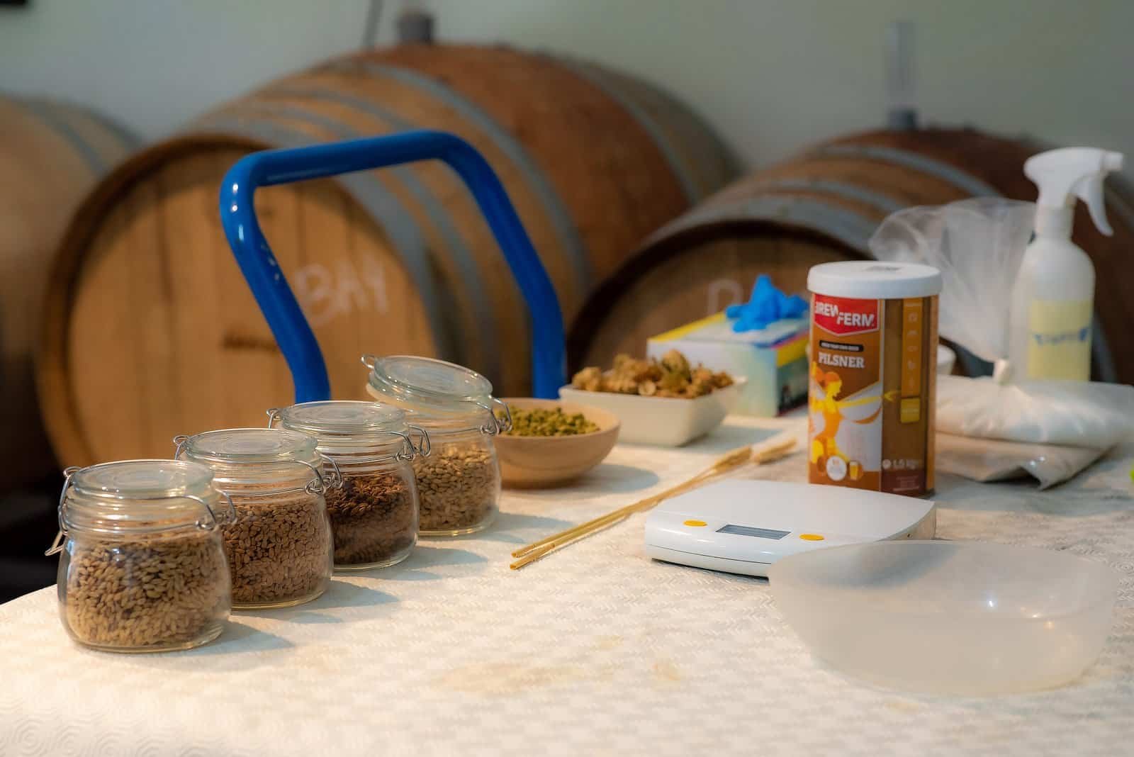 Homebrewing Workshop with an Extract Kit