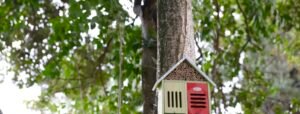 Build Your Own Insect Hotel Workshop