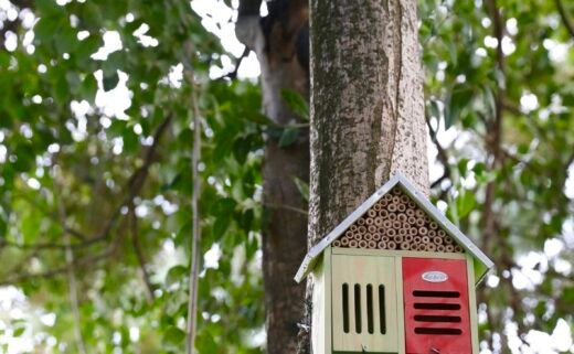 insect-hotel-workshop