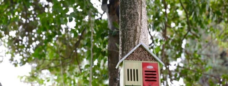 insect-hotel-workshop
