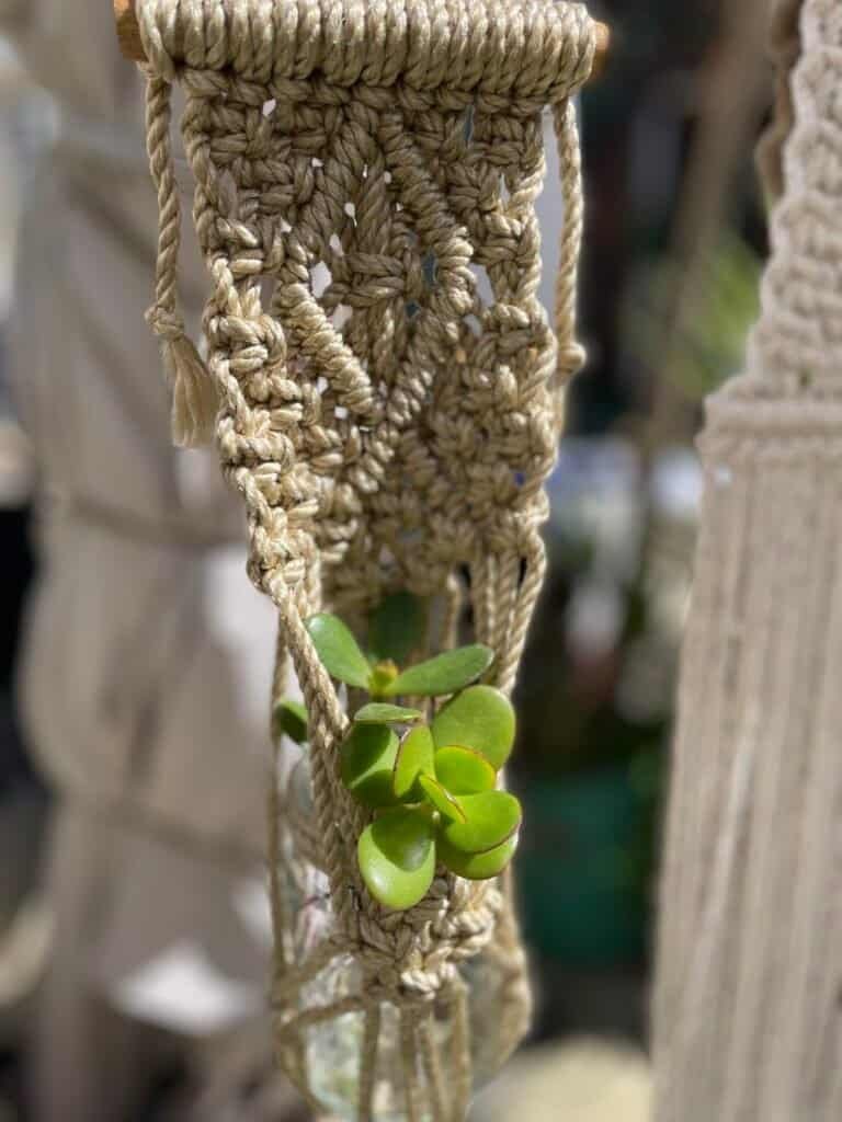 plant_hanger_workshop