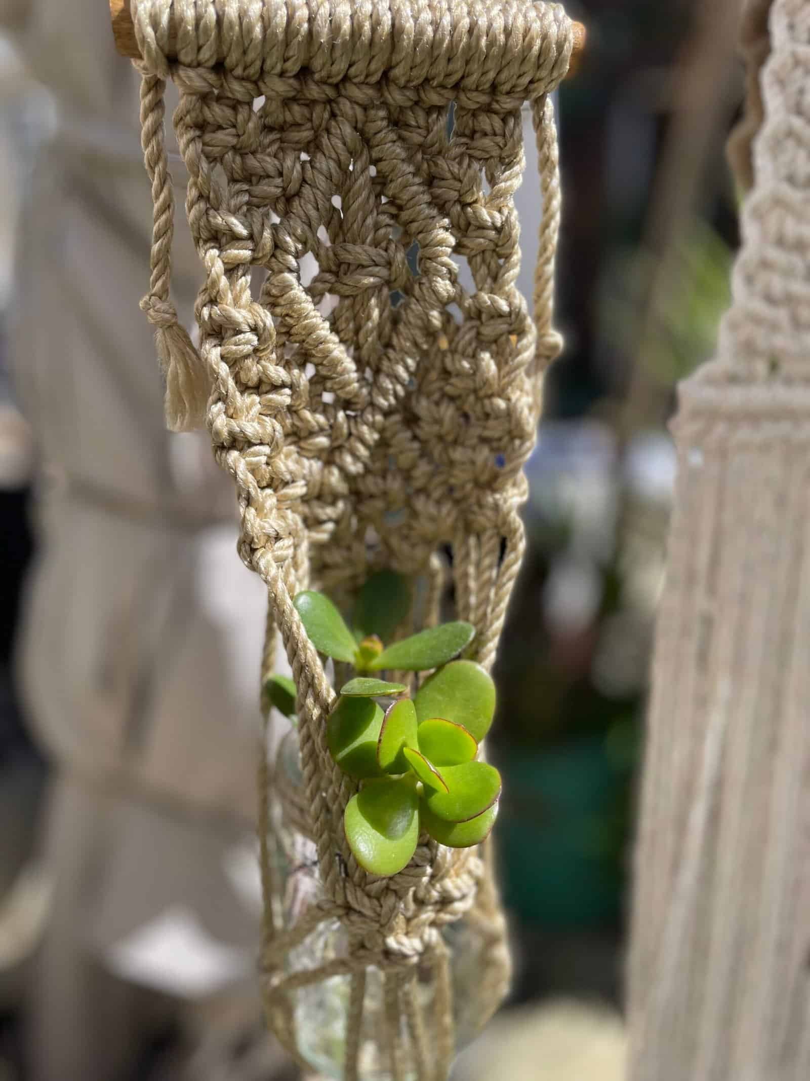 Plant Hanger Workshop Creativity & Brunch!