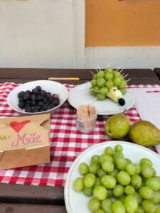 Kids Go Eco Workshop