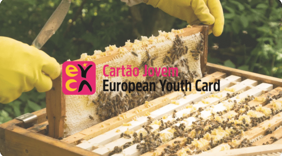 Hands On + Cartão Jovem: The Coolest Duo Since Pasteis de Nata and Coffee