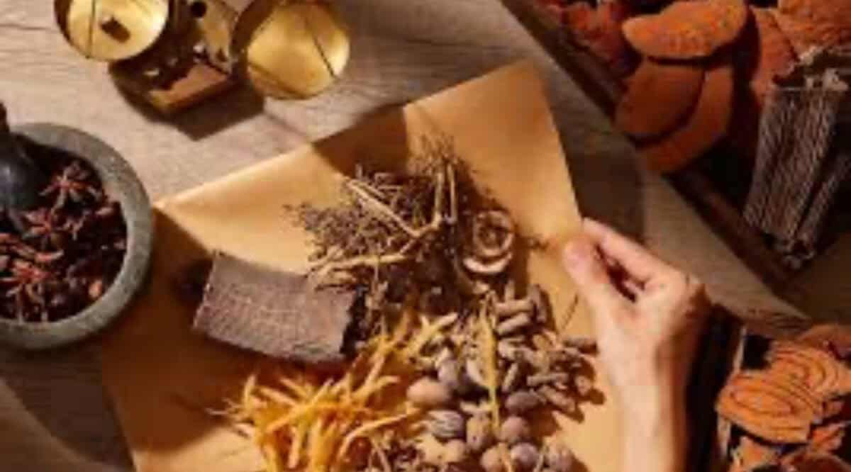 Galeria Unlocking Nature’s Secrets: Mushroom Extract Workshop 6