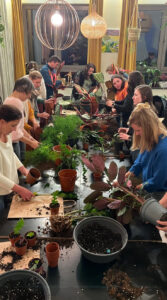 Discover the Healing Power of Nature: Herbal Plants Workshop