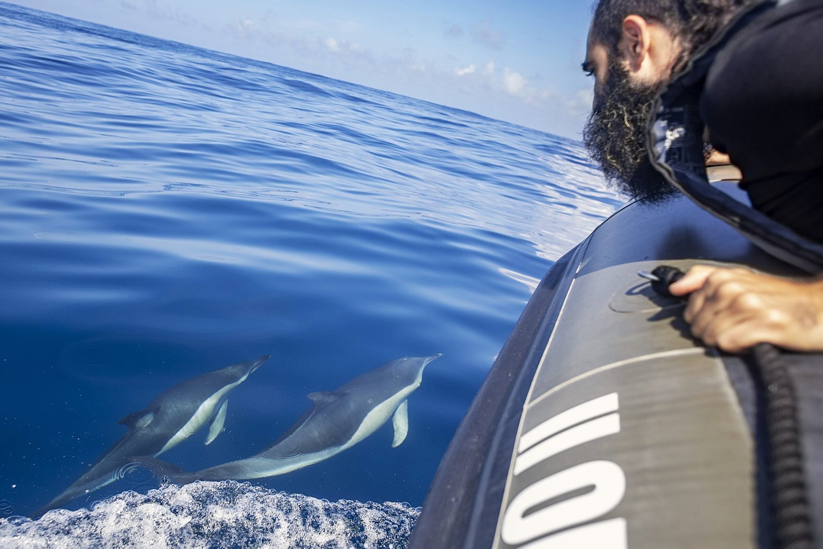 Descobre a Biologia Marinha: Experiência educativa de observação de golfinhos em Lisboa