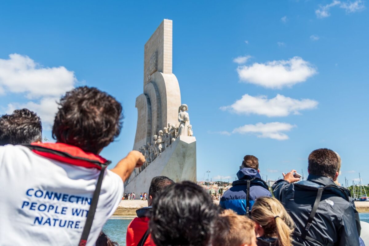 Marine Biology Discovery: Educational Dolphin Watching Experience in Lisbon gallery 8