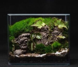 Workshop de Terrário | Constrói o teu próprio ecossistema vivo com Ana Rita Pina