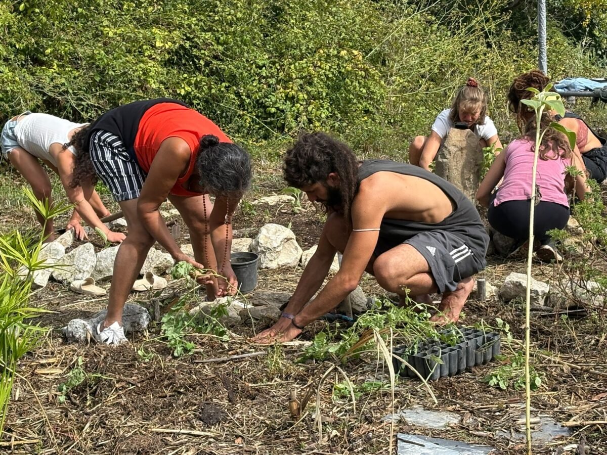 Certified Permaculture Design Course in Sintra – Hands-On PDC Training gallery 9