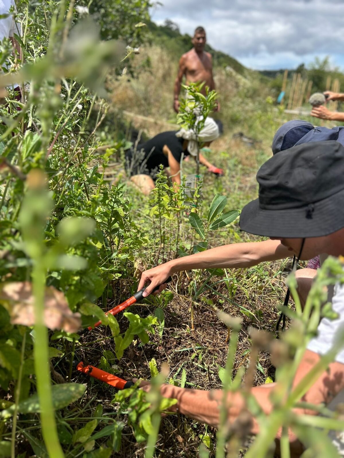 Certified Permaculture Design Course in Sintra – Hands-On PDC Training gallery 8