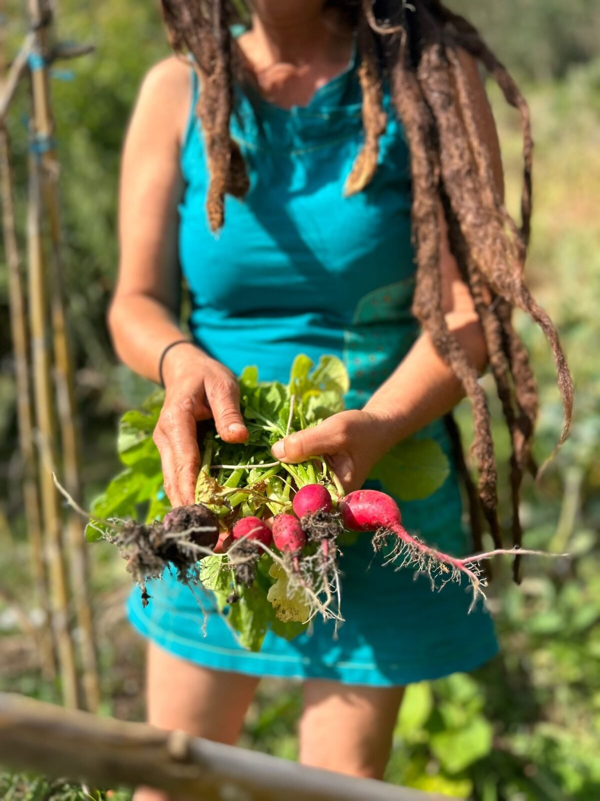Certified Permaculture Design Course in Sintra – Hands-On PDC Training gallery 6
