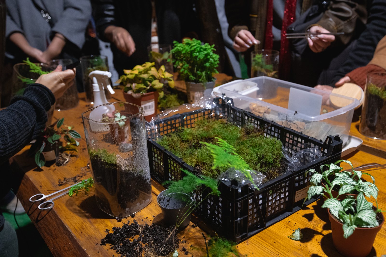 Galeria Terrarium Workshop | Build Your Own Living Ecosystem with Ana Rita Pina 7