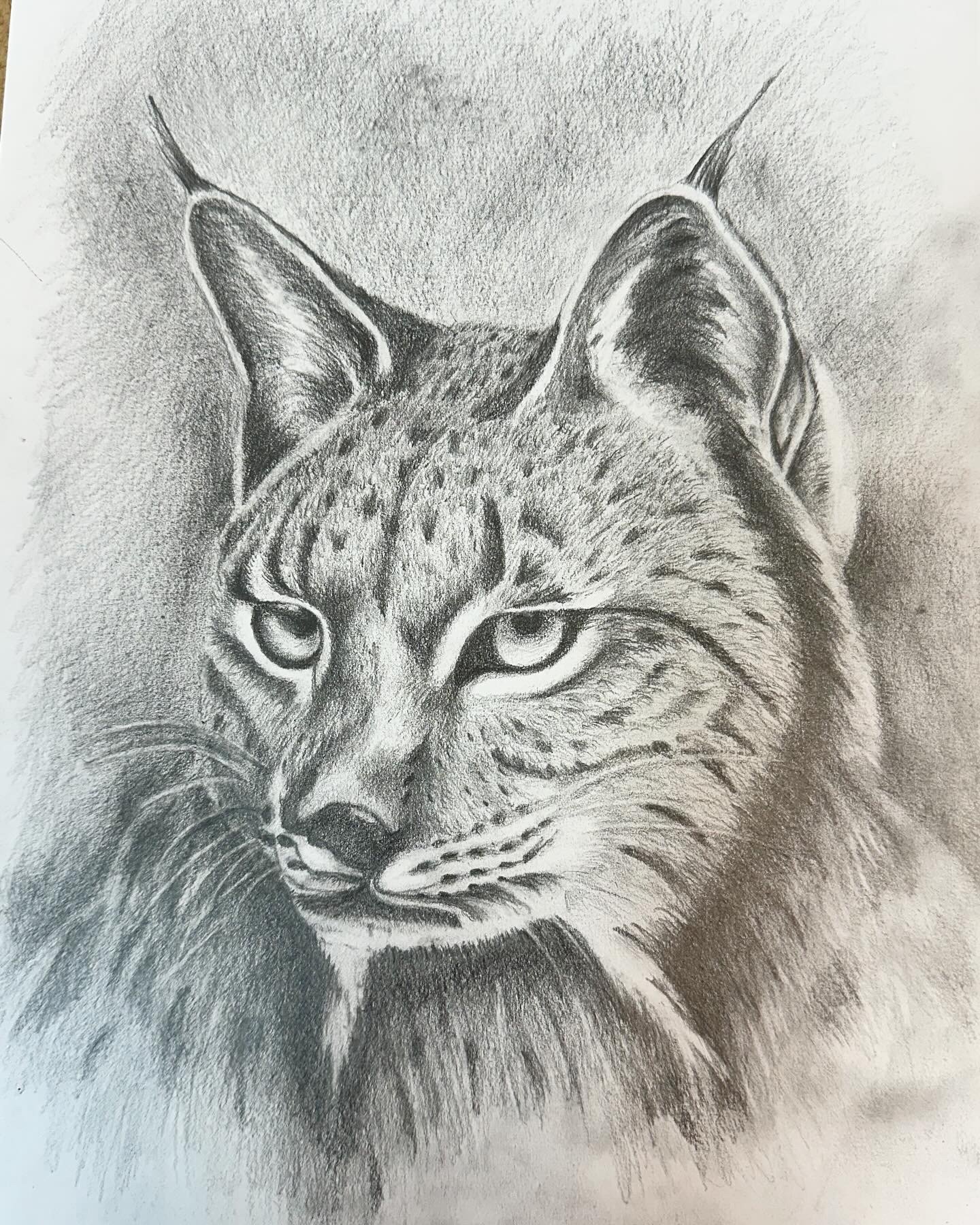 Galeria Graphite Animal Drawing | Capture Your Pet in Art Workshop 6