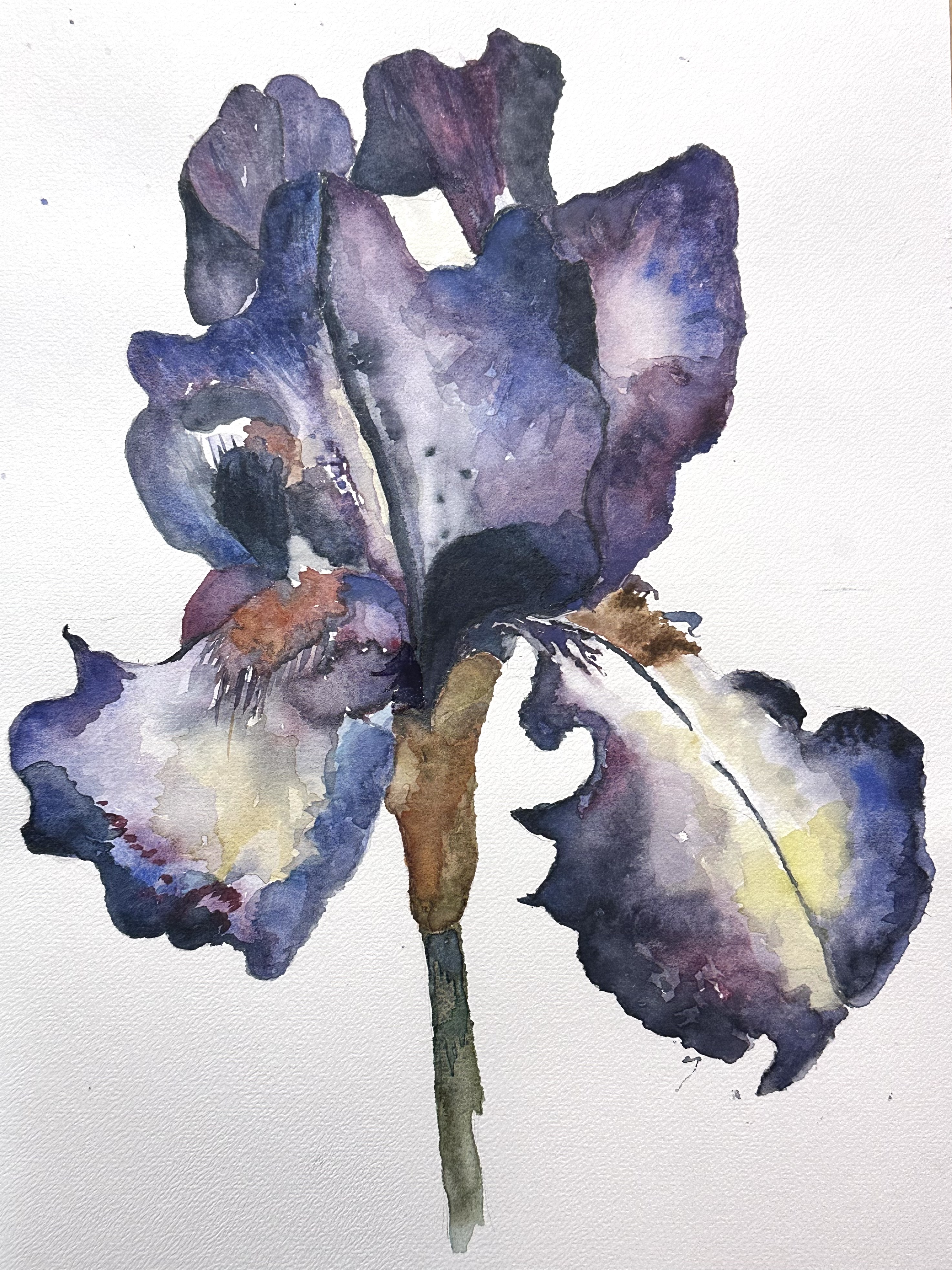 Painting Flowers & Birds in Watercolor for Beginners gallery 6