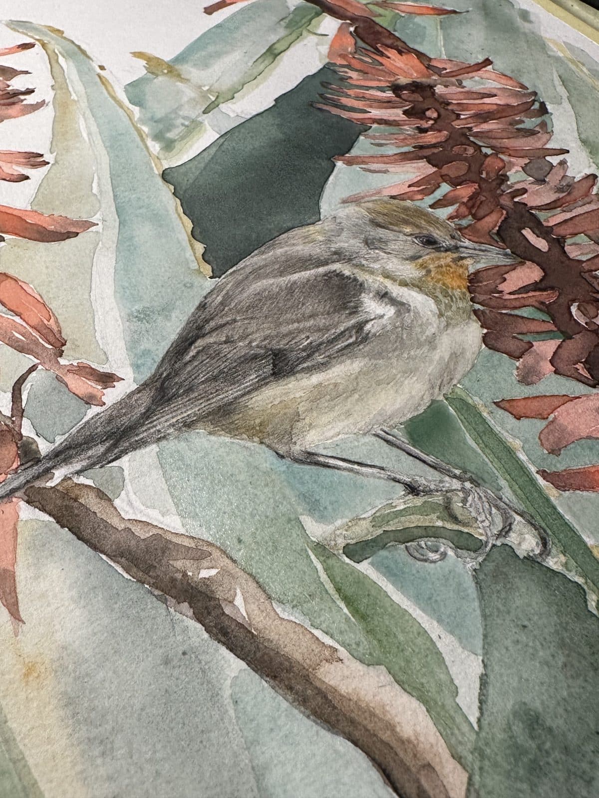 Galeria Painting Flowers & Birds in Watercolor for Beginners 1