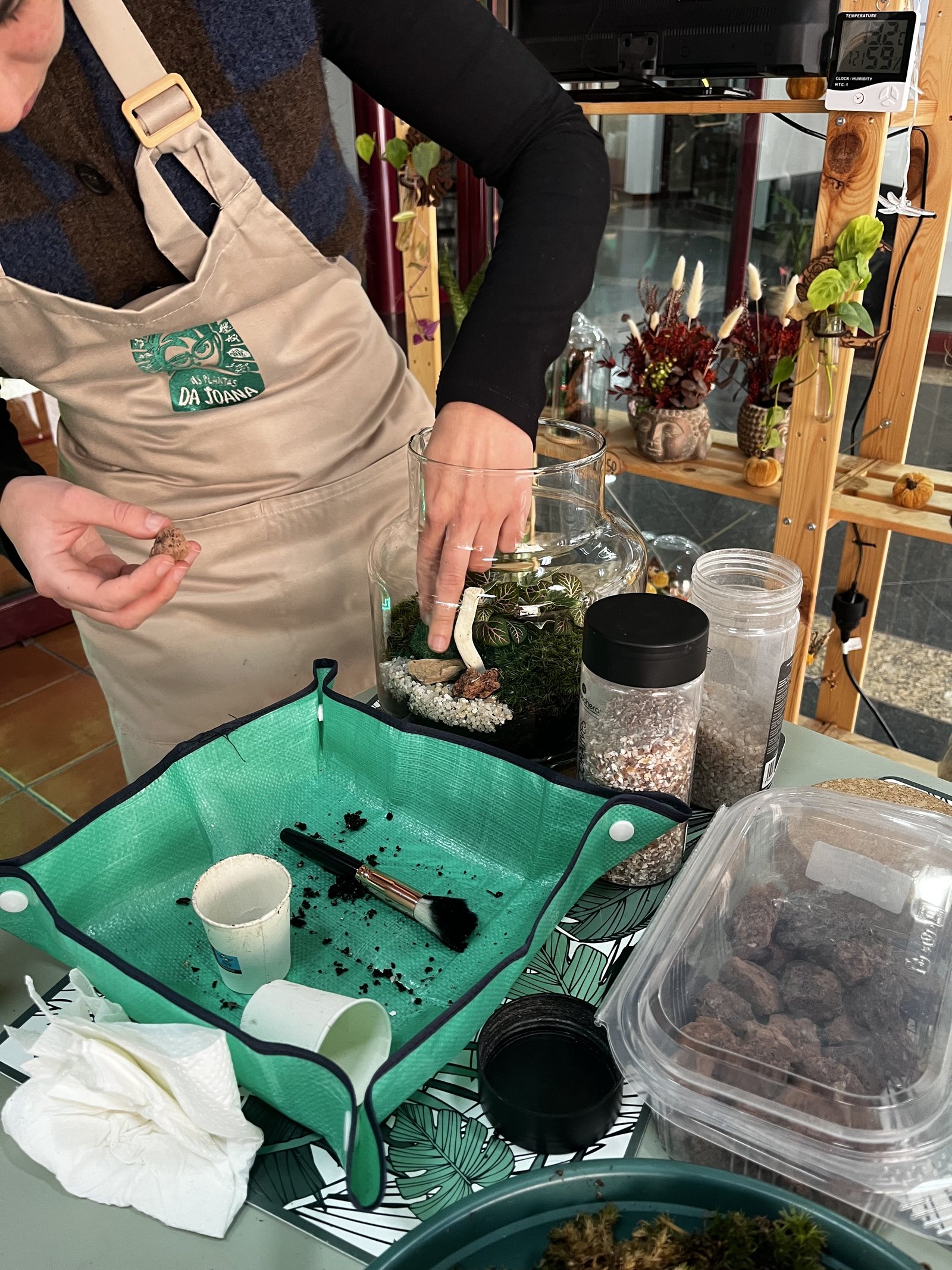 Galeria Closed Terrariums Workshop with Plantas da Joana in Lisbon 6