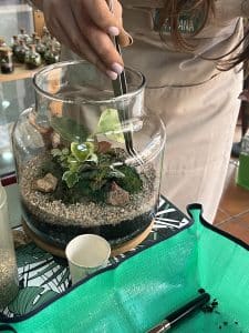 Closed Terrariums Workshop with Plantas da Joana in Lisbon