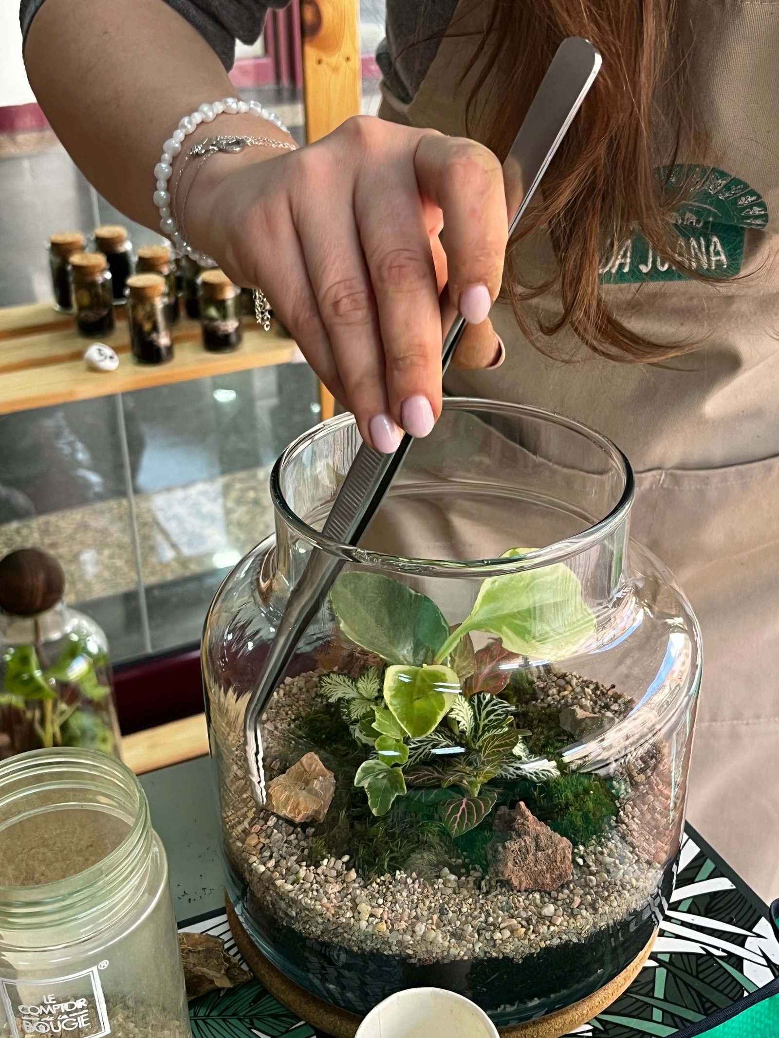 Workshop de Terrários Fechados com Plantas da Joana em Lisboa