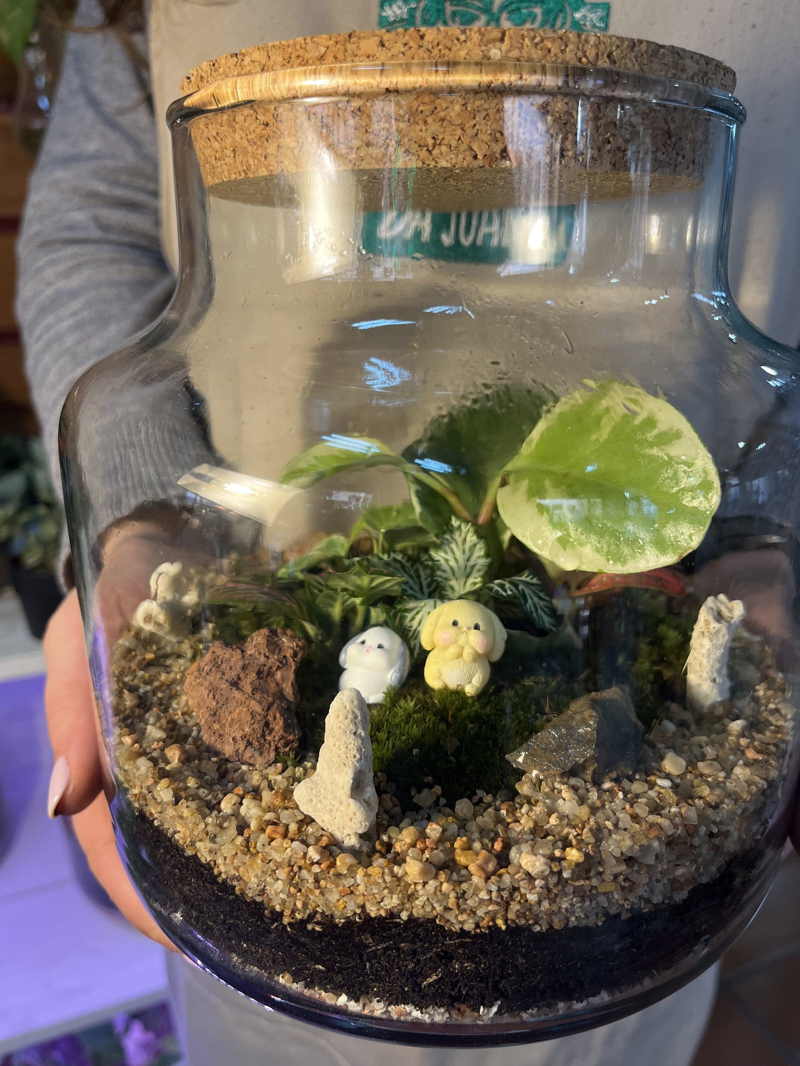 Galeria Closed Terrariums Workshop with Plantas da Joana in Lisbon 8