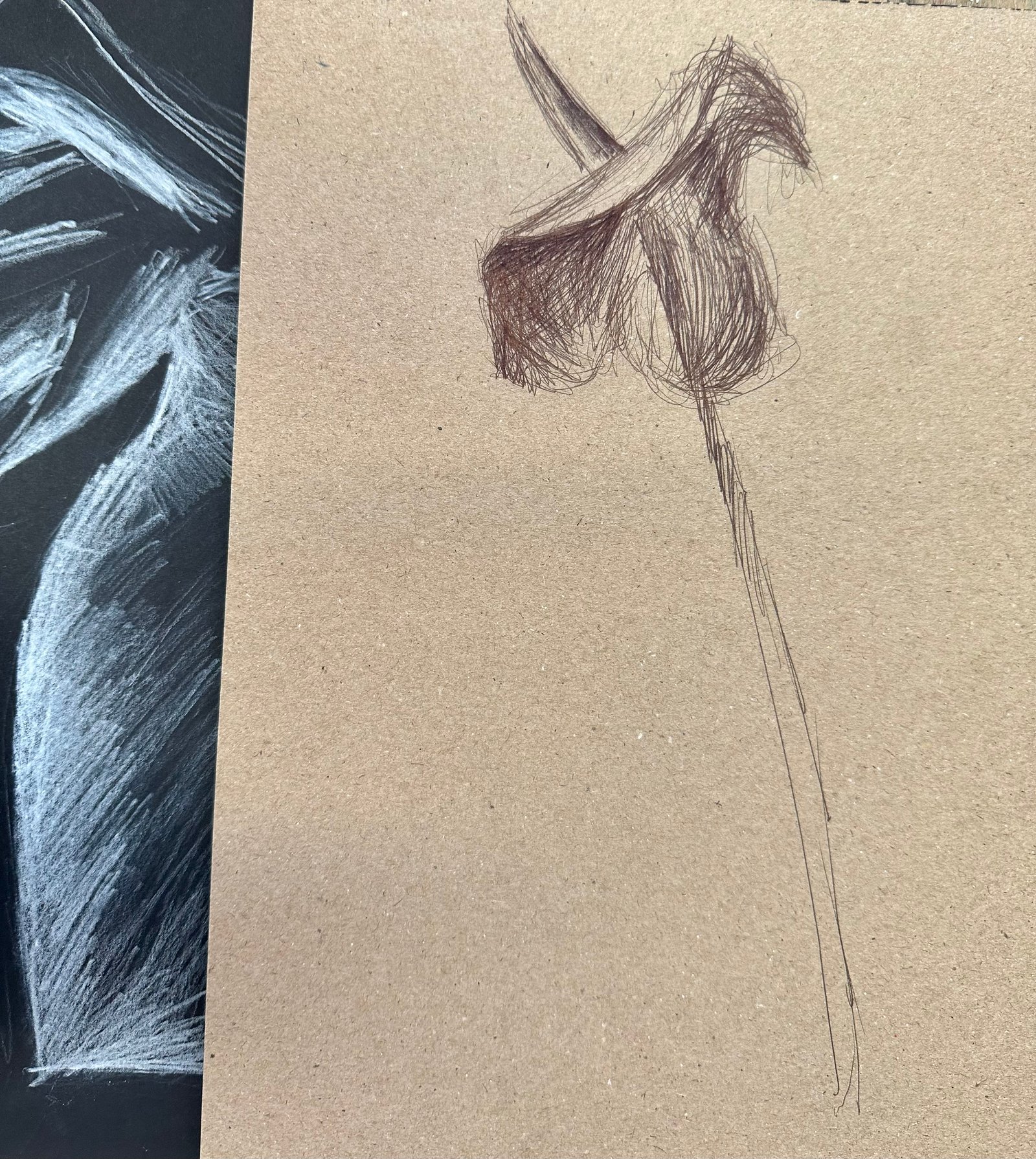 Learning to See: Hands-On Observational Drawing Workshop for Beginners gallery 7