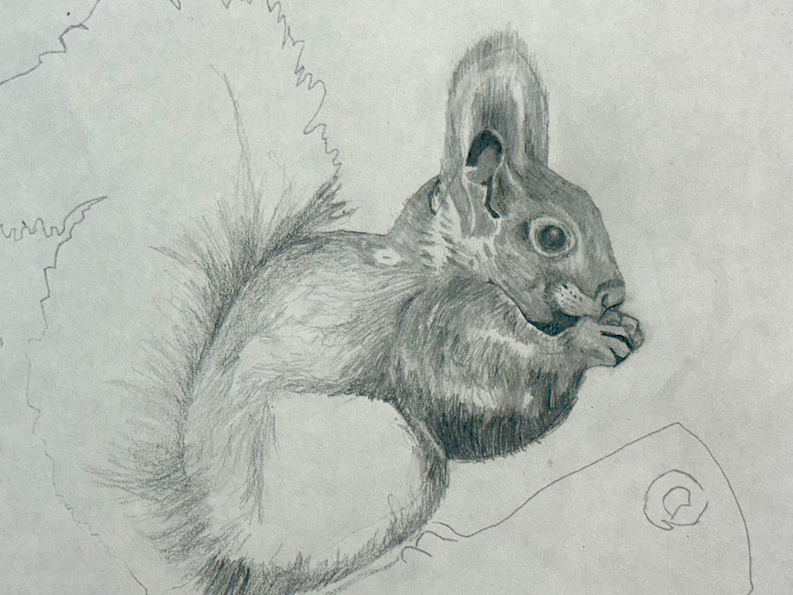Galeria Graphite Animal Drawing | Capture Your Pet in Art Workshop 10