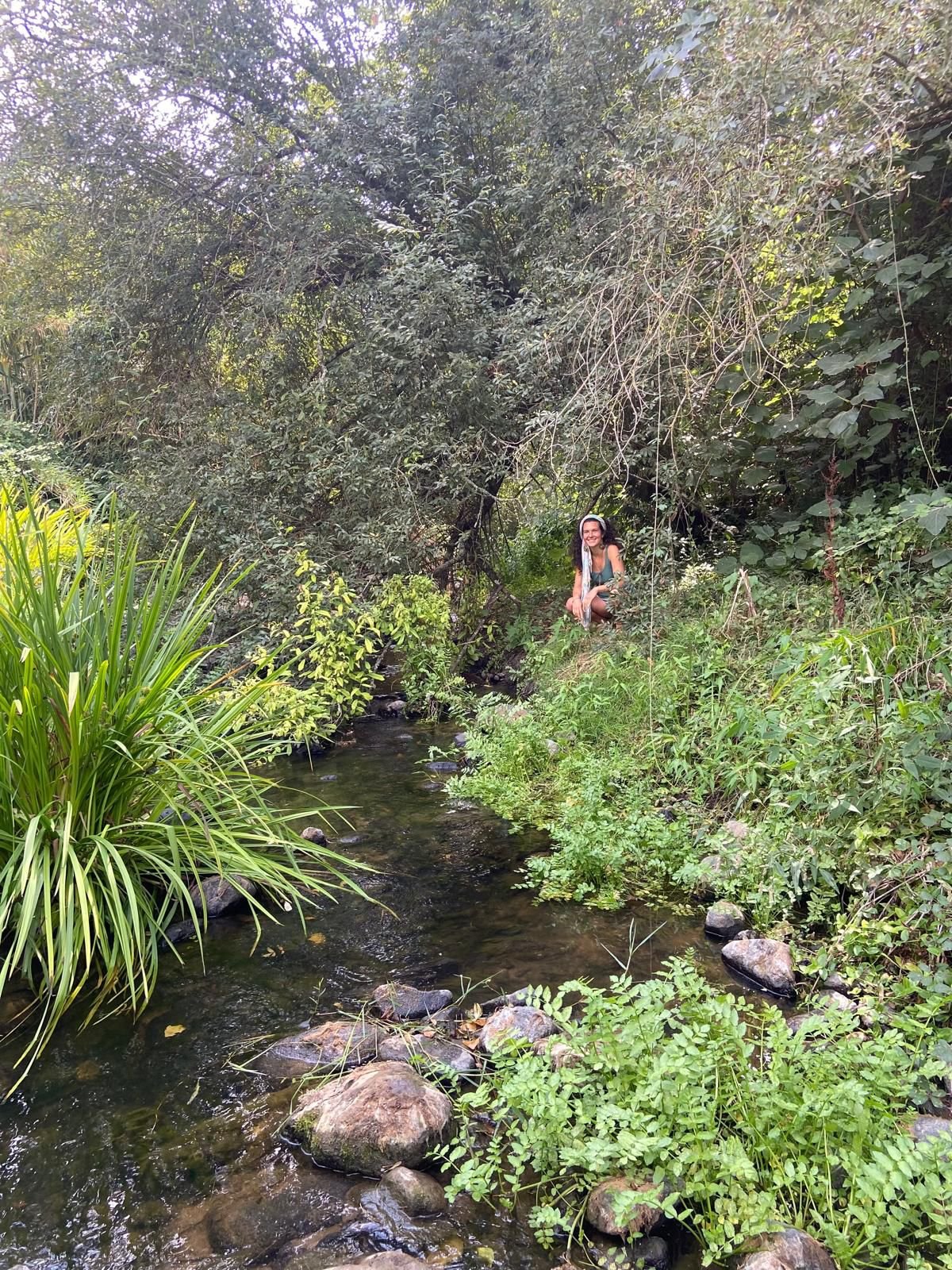 Forest Bathing Experience (Shinrin-Yoku) gallery 6