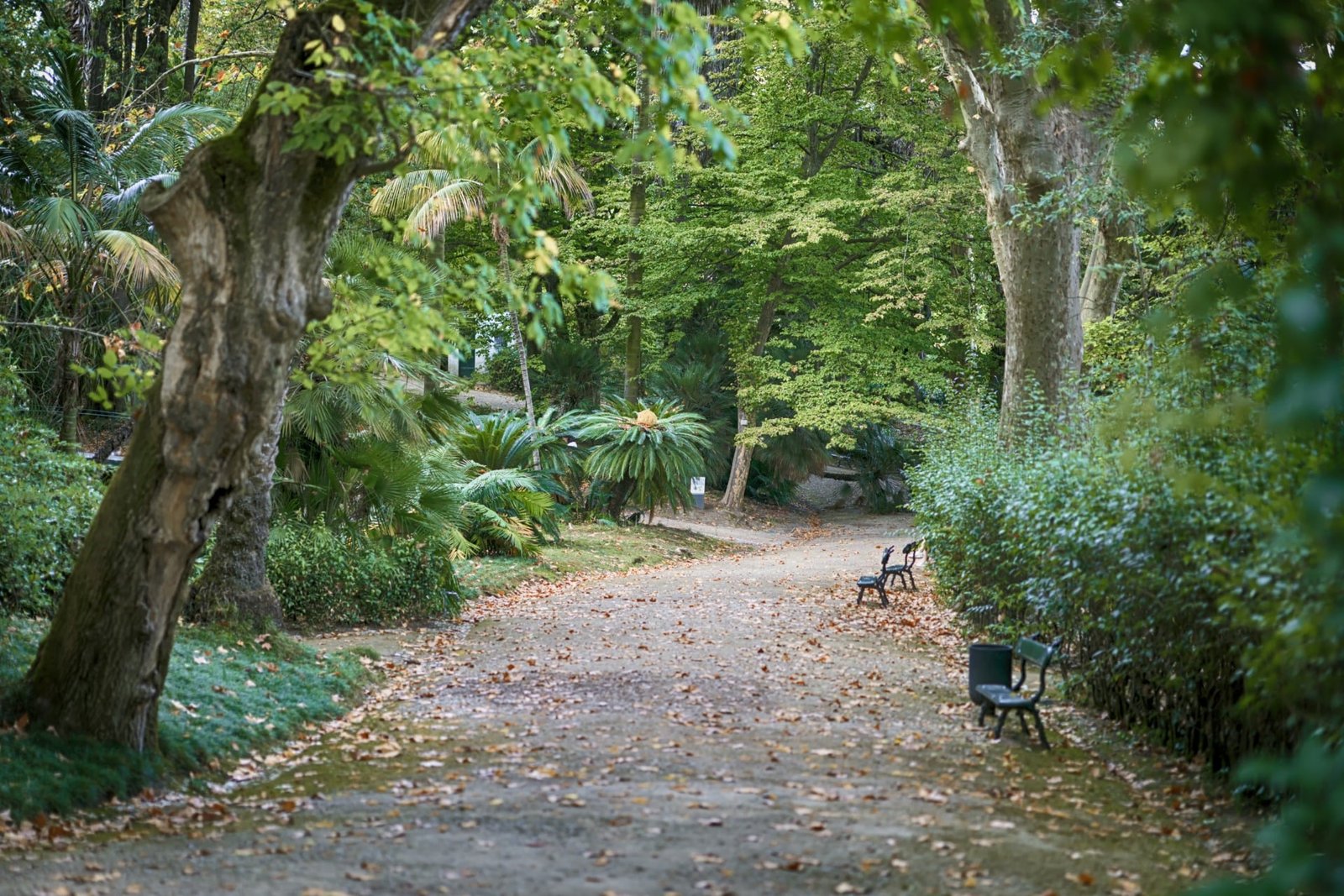 Botanical Sketching Workshop in Lisbon | Draw Nature at Jardim Botânico gallery 6