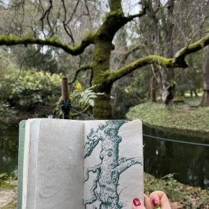 Botanical Sketching Workshop in Lisbon