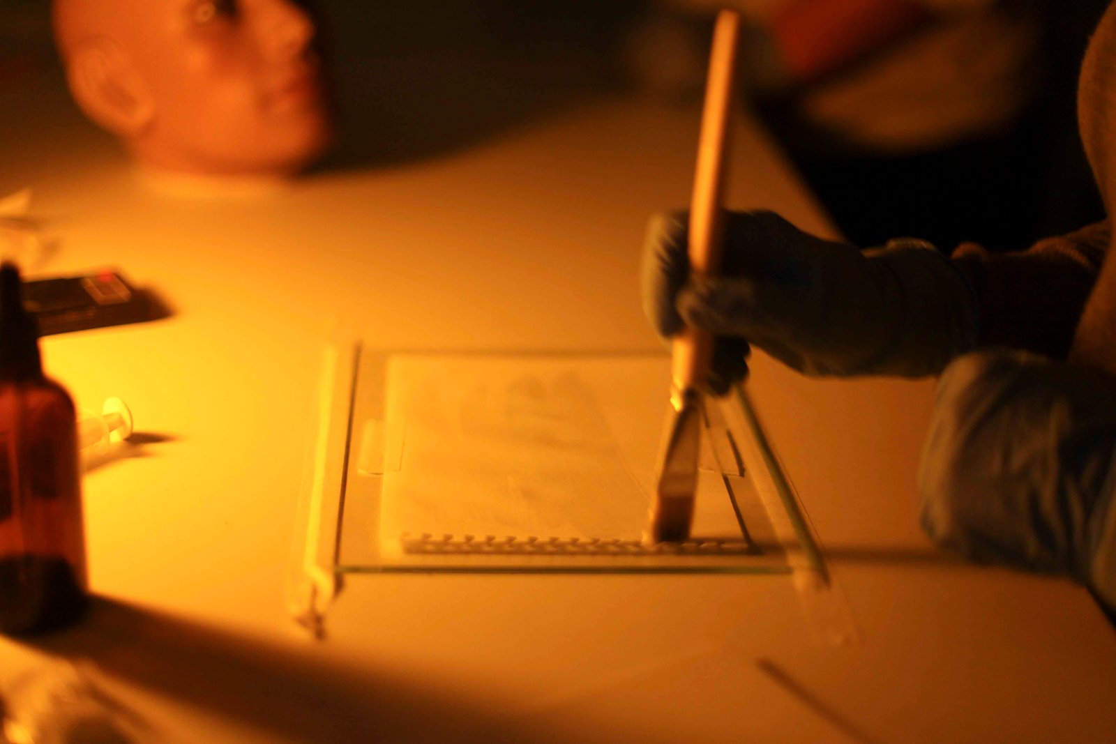 Galeria Cyanotype Workshop in Porto | Create Your Own Blue Prints with Sunlight 9