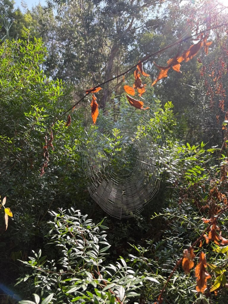 Permaculture-inspired landscape reading exercise during land art nature healing workshop Portugal