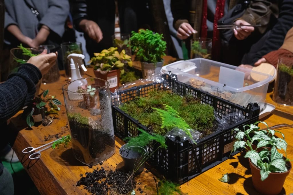 Glass terrarium with miniature plants creating closed-loop sustainable ecosystem workshop