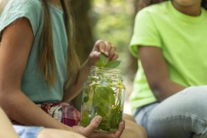 Person learning natural sustainable skills during eco-friendly workshop in Portugal nature setting