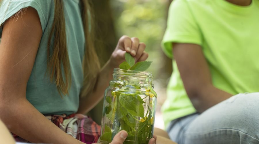 Sustainable Living Workshops in Portugal 2026: Natural Skills to Learn