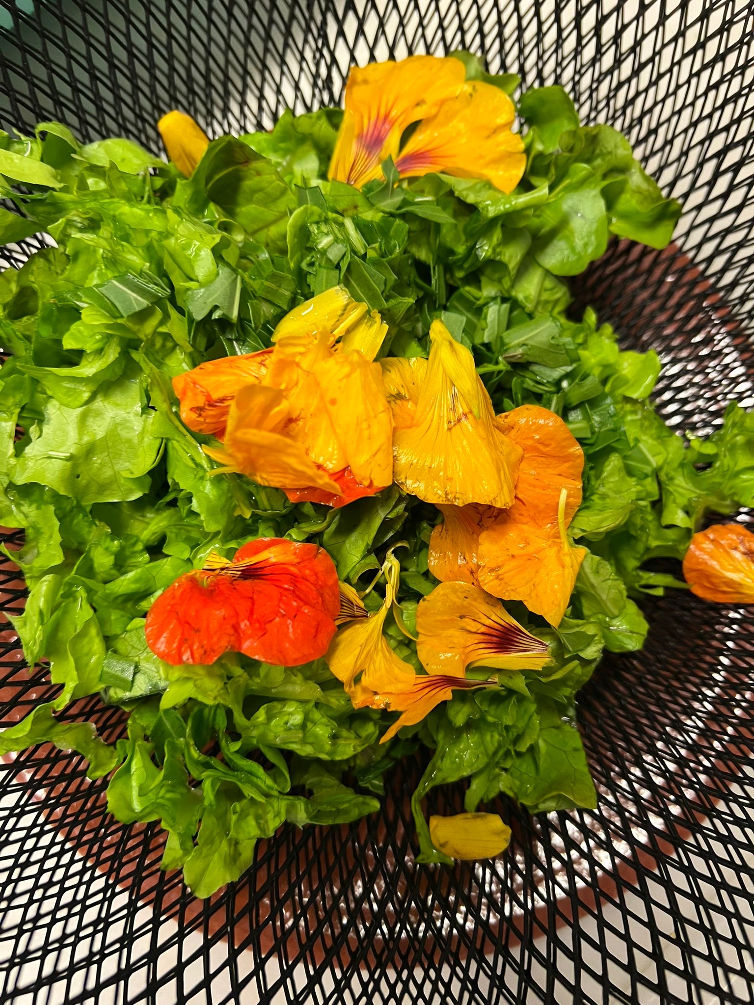 Galeria Farm to Table Cooking Experience in Évora | Sofia Vieira 7