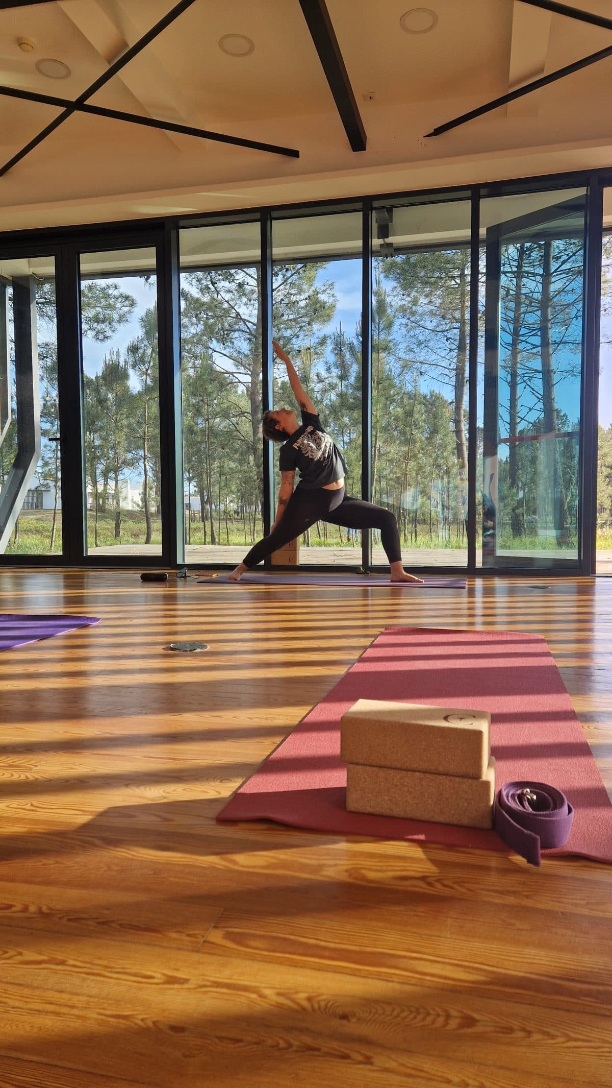 Galeria Private Yoga Lesson 2