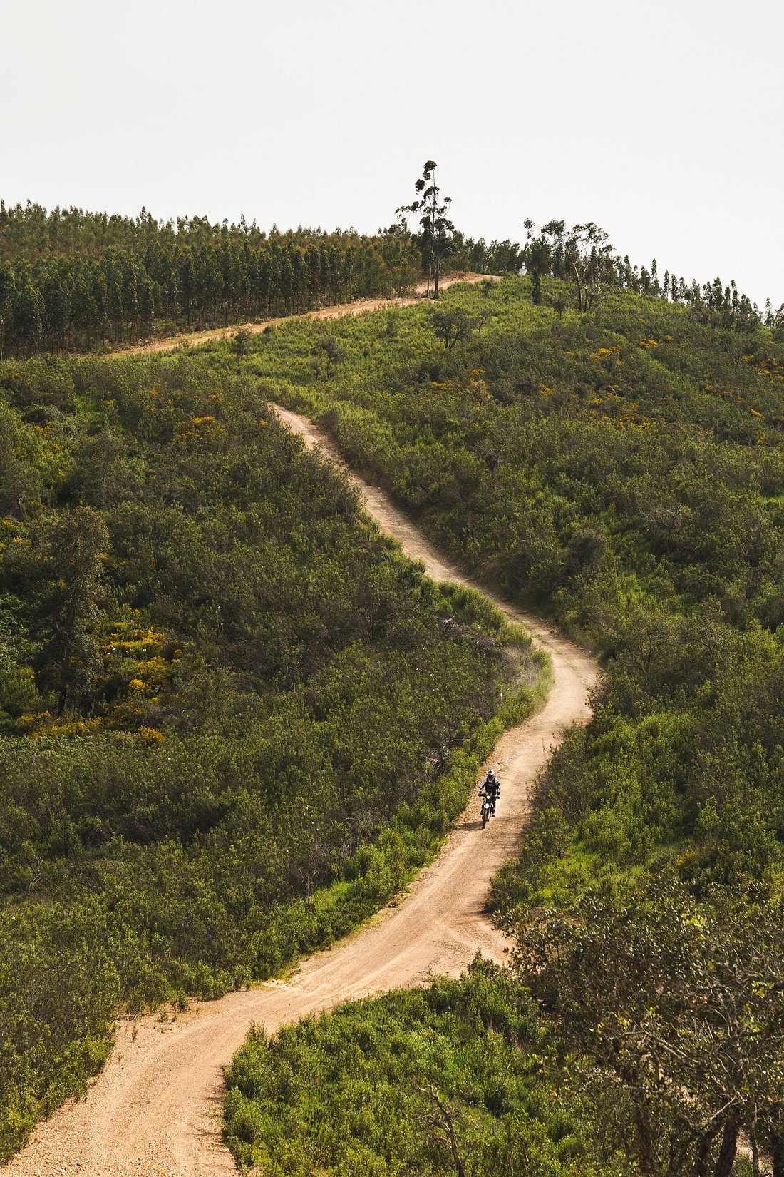Galeria Off-Road Motorcycle Experience in Alentejo | 125CC 6