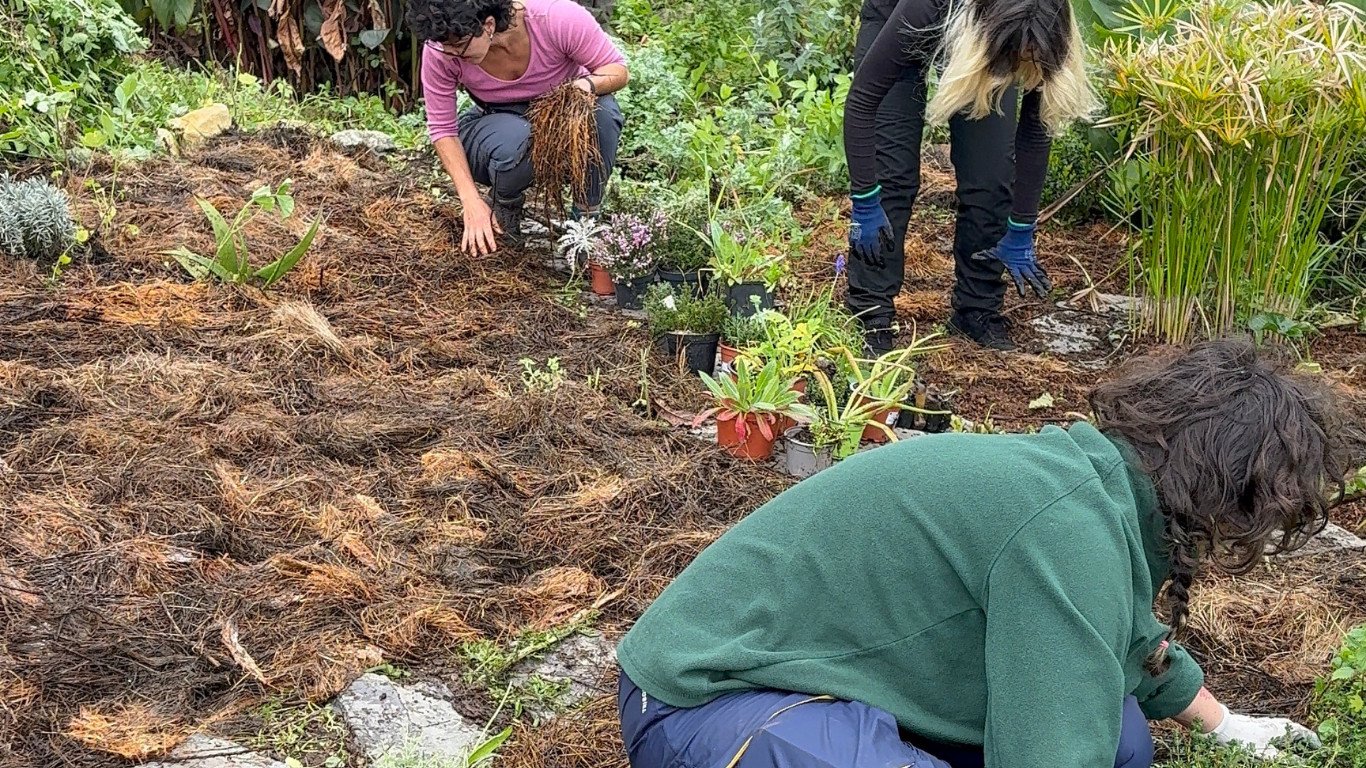 Permaculture for Herbalists: Functional Design & DIY Distillation gallery 6