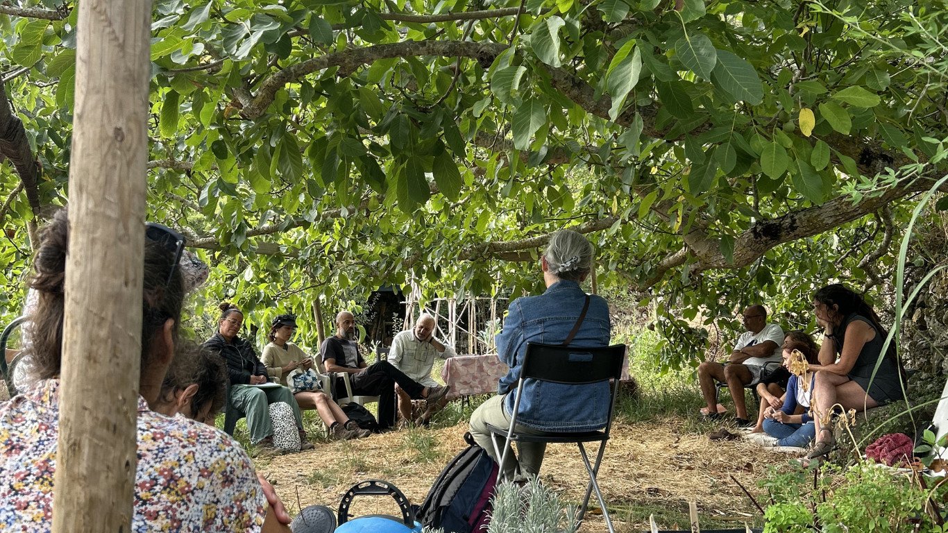 Permaculture for Herbalists: Functional Design & DIY Distillation gallery 7