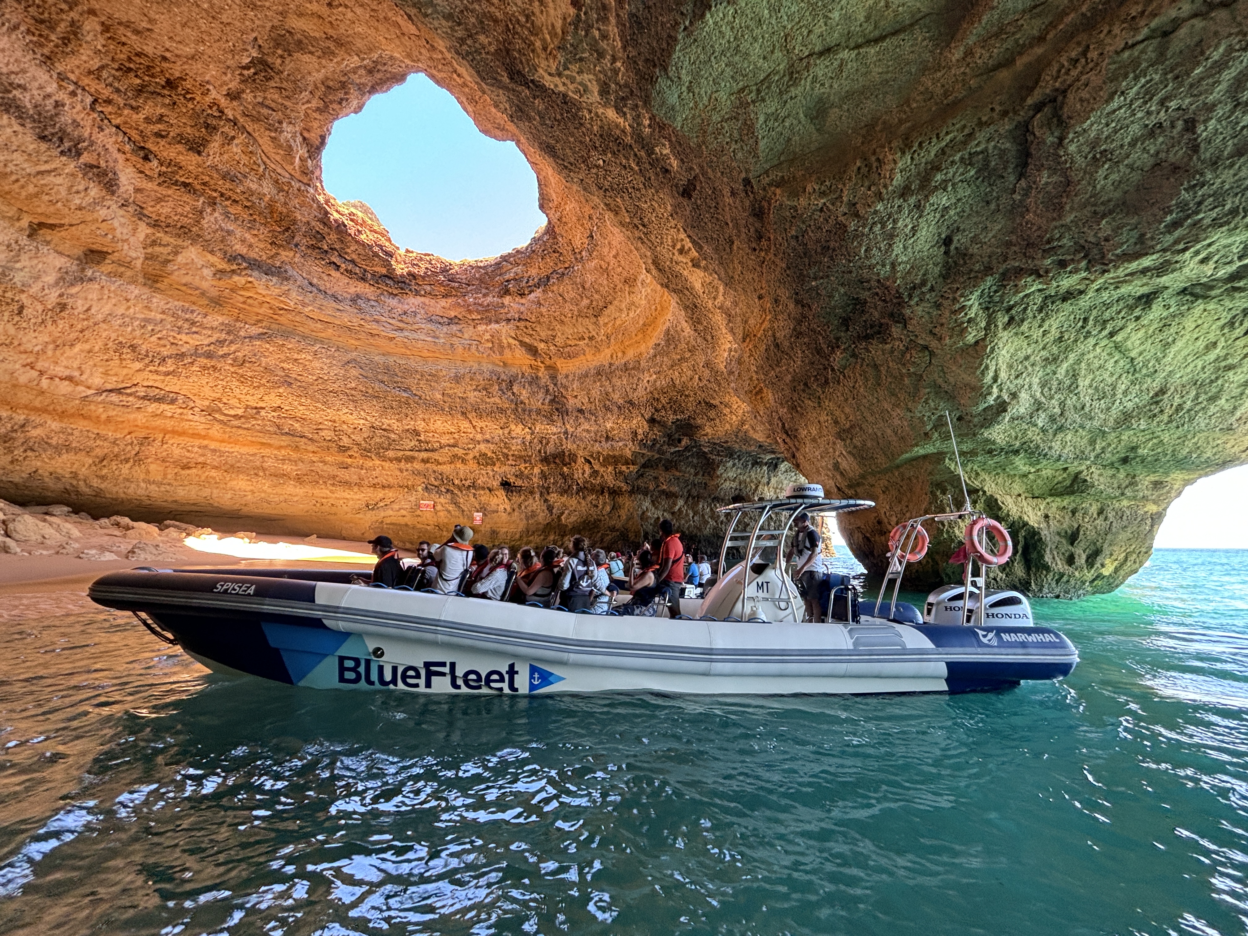 Benagil and Dolphin Adventure in Algarve gallery 9